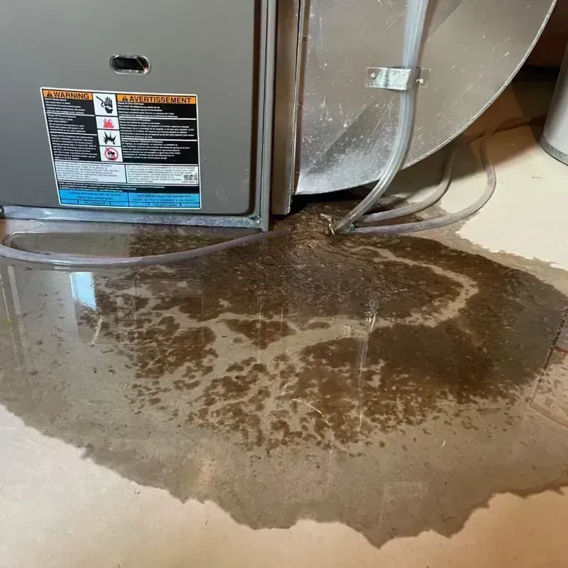 Appliance Leak Cleanup in The Villages, FL